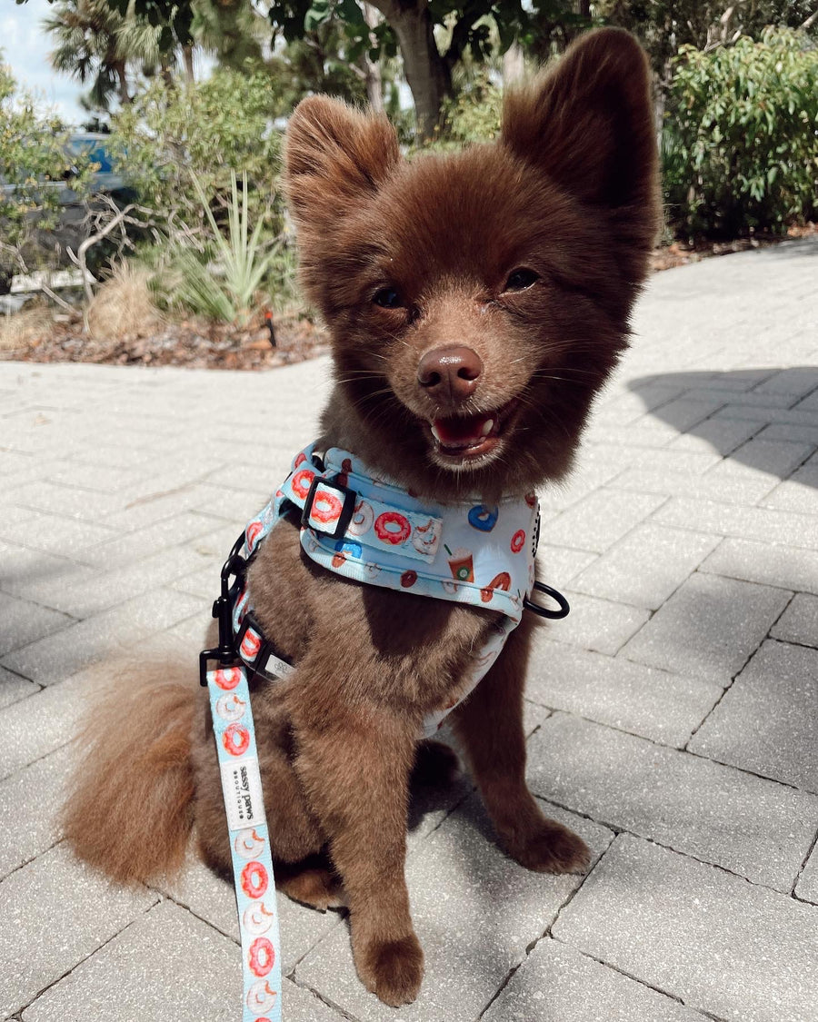 adjustable harness | berry blue