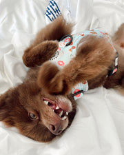 adjustable harness | berry blue